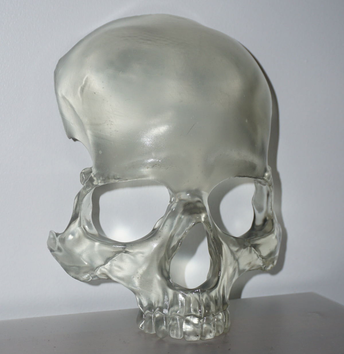 Transparent Skull Mask | Clear Human Skull Face Mask | Anatomical Skeleton Costume Mask | Gothic Horror Cosplay Accessory | XS to XL
