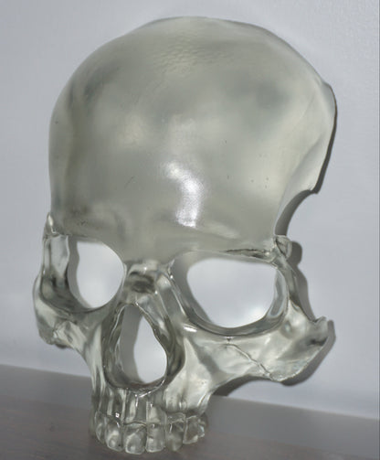 Transparent Skull Mask | Clear Human Skull Face Mask | Anatomical Skeleton Costume Mask | Gothic Horror Cosplay Accessory | XS to XL