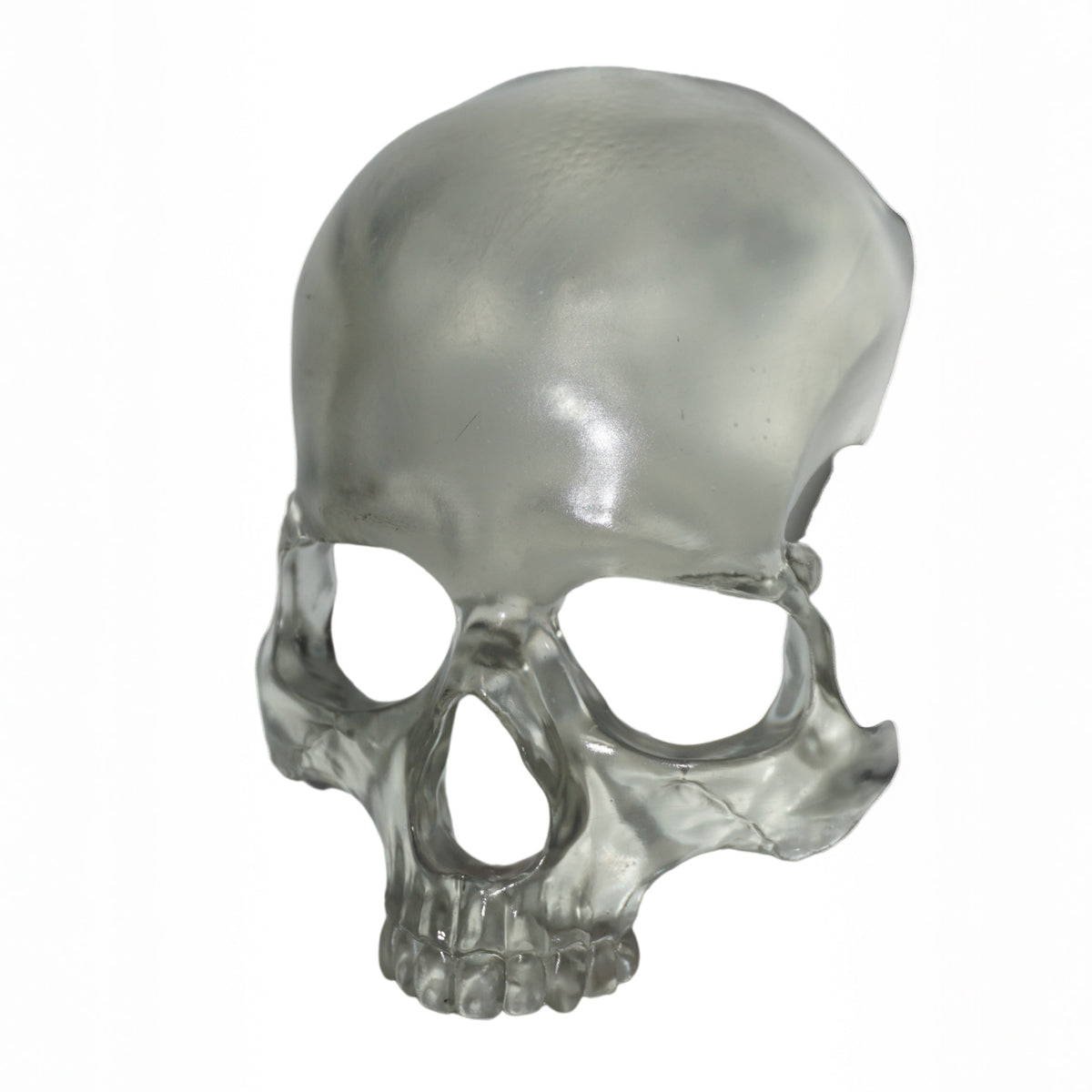 Transparent Skull Mask | Clear Human Skull Face Mask | Anatomical Skeleton Costume Mask | Gothic Horror Cosplay Accessory | XS to XL
