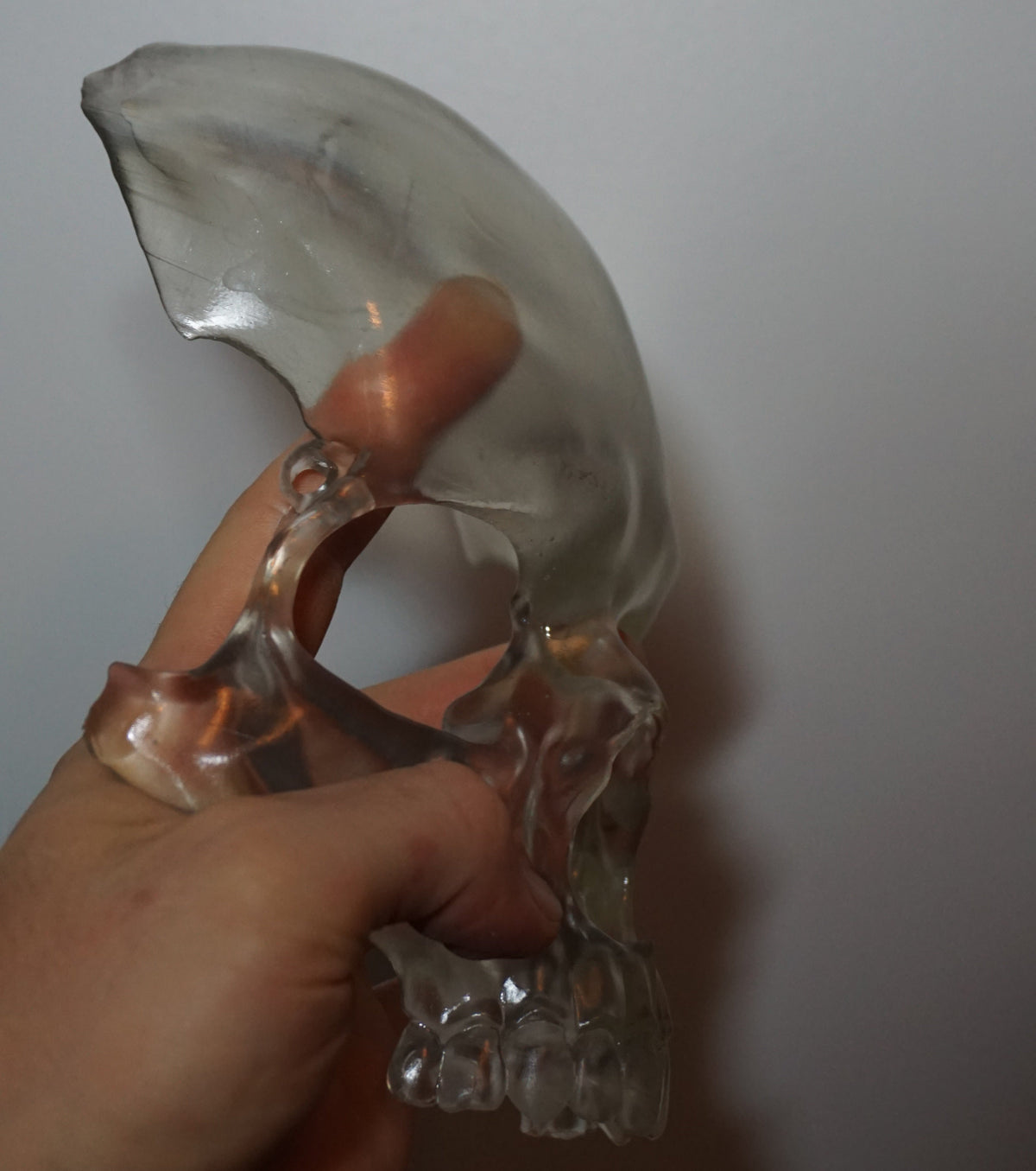 Transparent Skull Mask | Clear Human Skull Face Mask | Anatomical Skeleton Costume Mask | Gothic Horror Cosplay Accessory | XS to XL