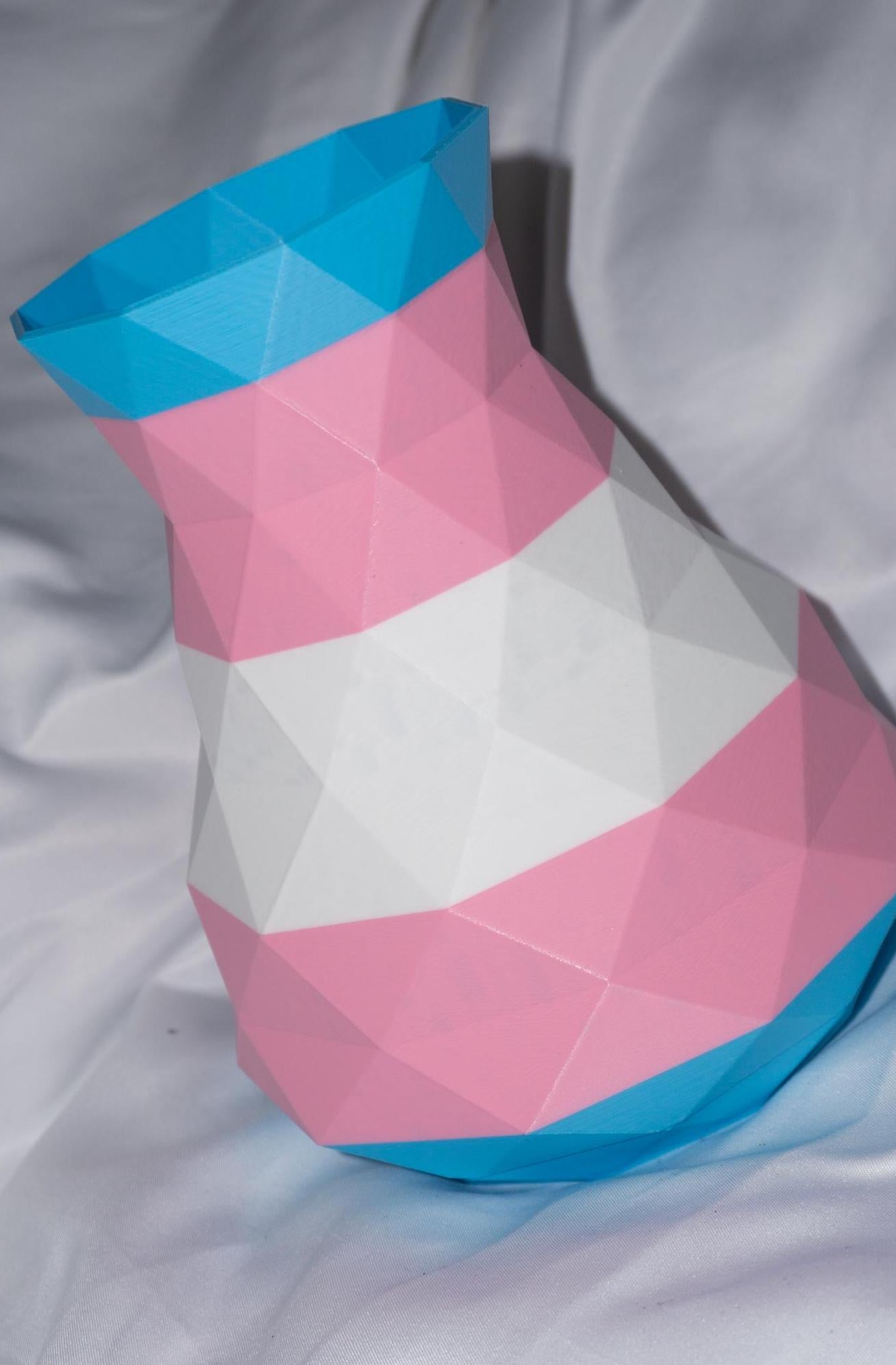 Trans Pride Vase | Plants | Garden | LGBTQ | PRIDE