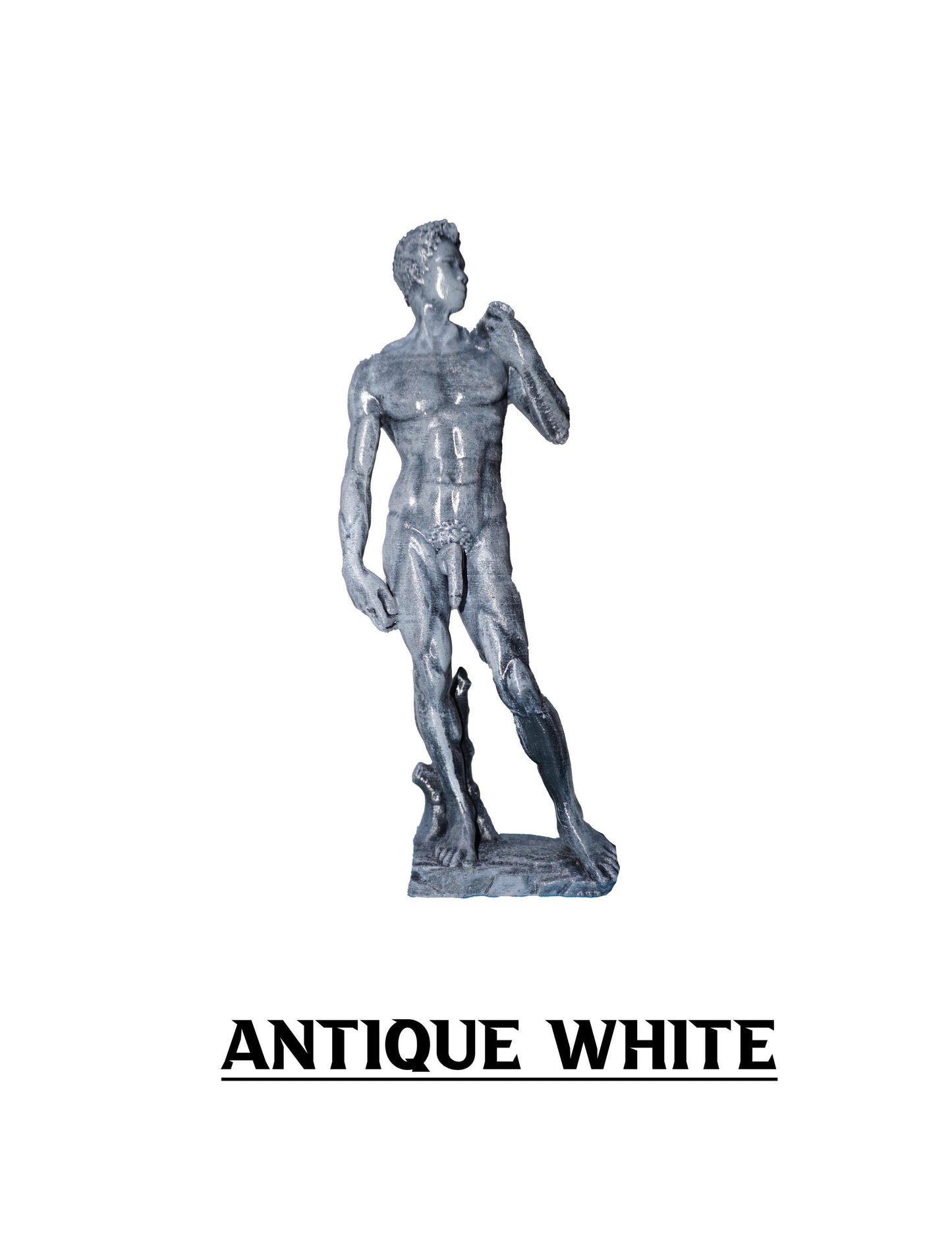 David: The embodying Form