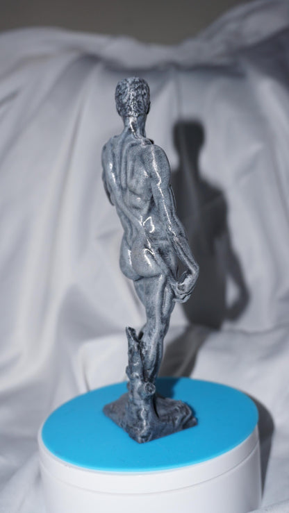 David: The embodying Form