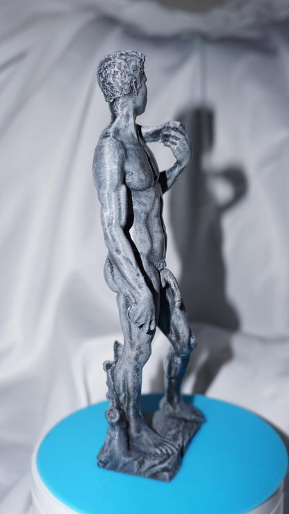 David: The embodying Form