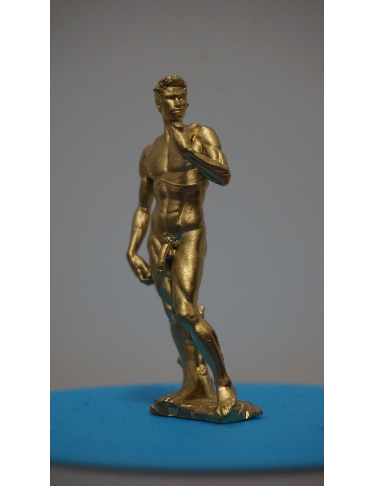 Michelangelo’s David Inspired Statue