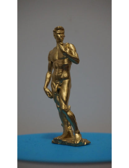 Michelangelo’s David Inspired Statue