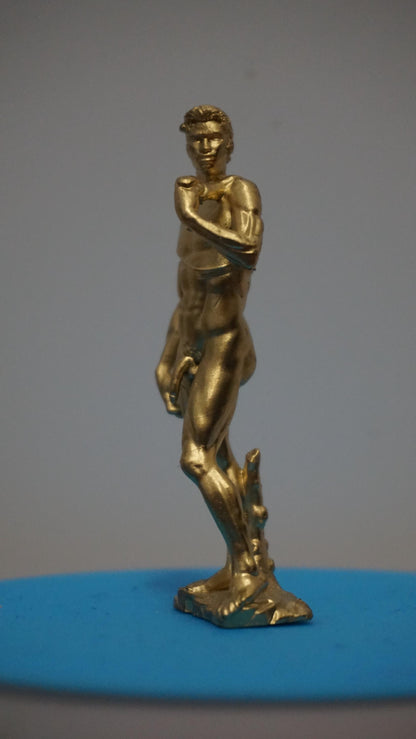 Michelangelo’s David Inspired Statue