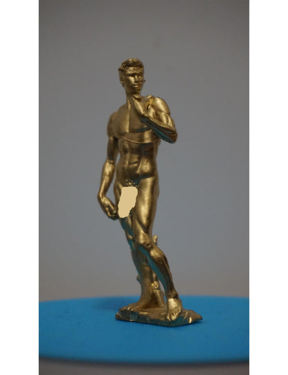 Michelangelo’s David Inspired Statue