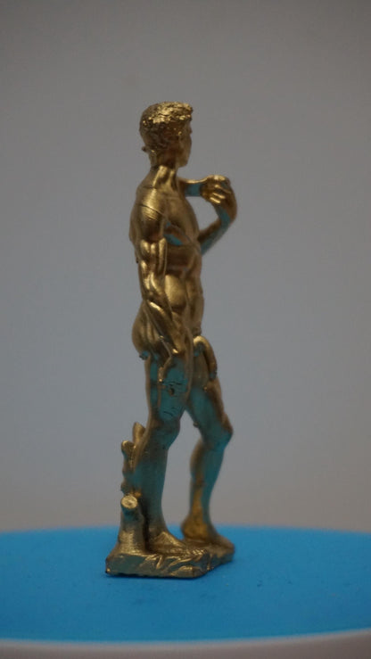 Michelangelo’s David Inspired Statue